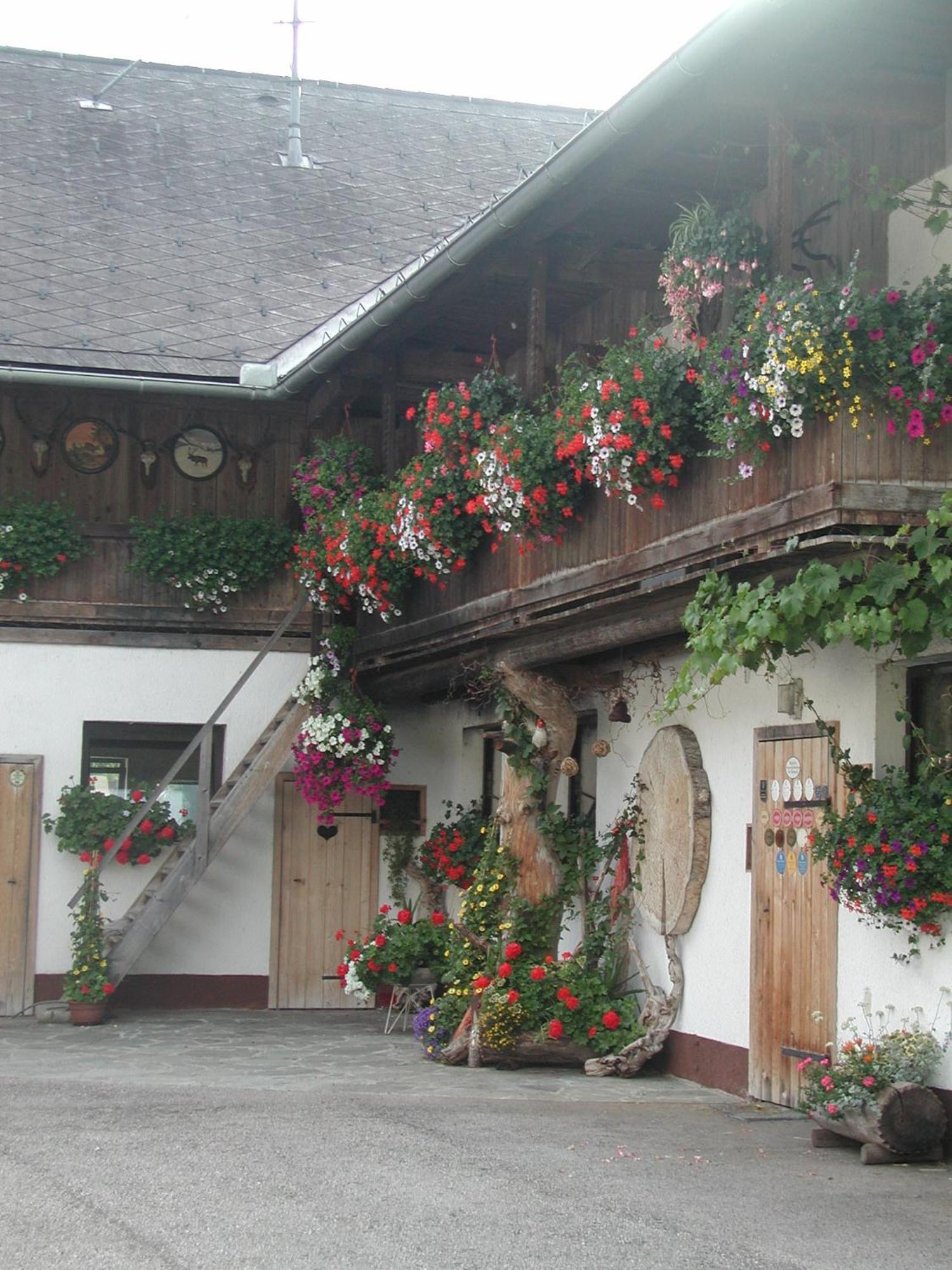 Ferienhof Unterfuehrholzergut Klaus an der Pyhrnbahn Екстериор снимка