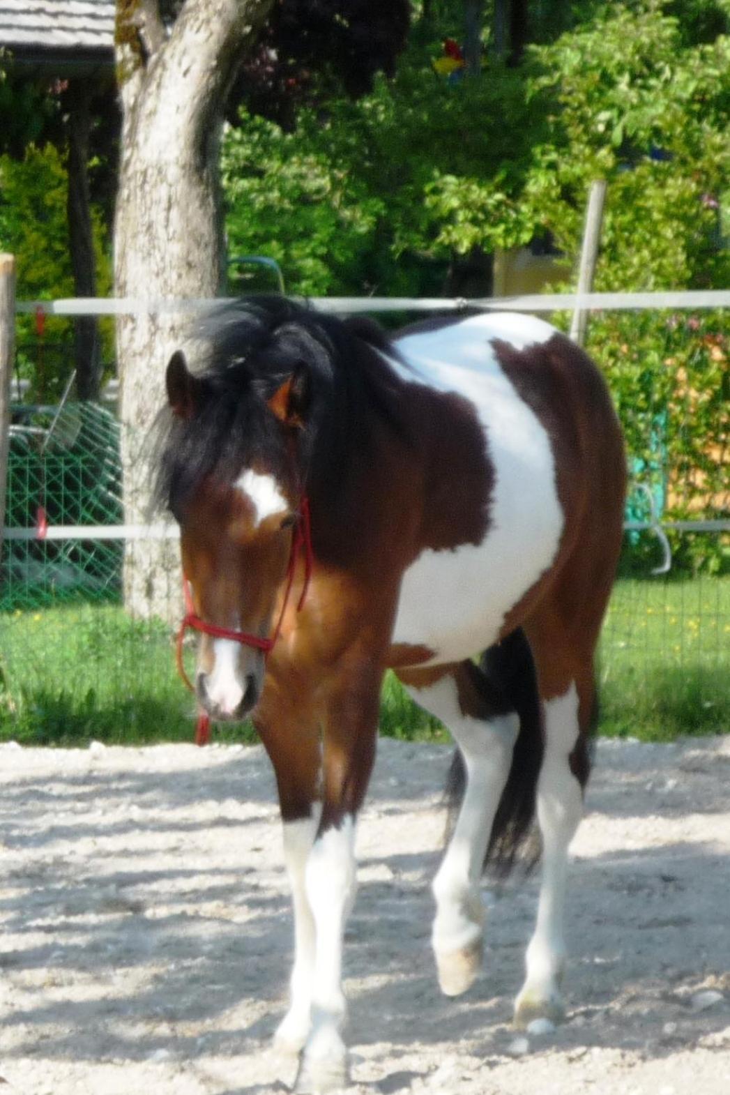 Ferienhof Unterfuehrholzergut Klaus an der Pyhrnbahn Екстериор снимка